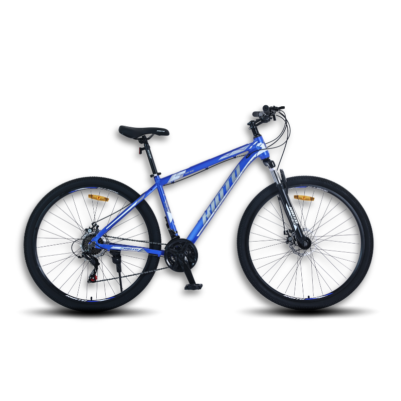 Kioto MTB R29