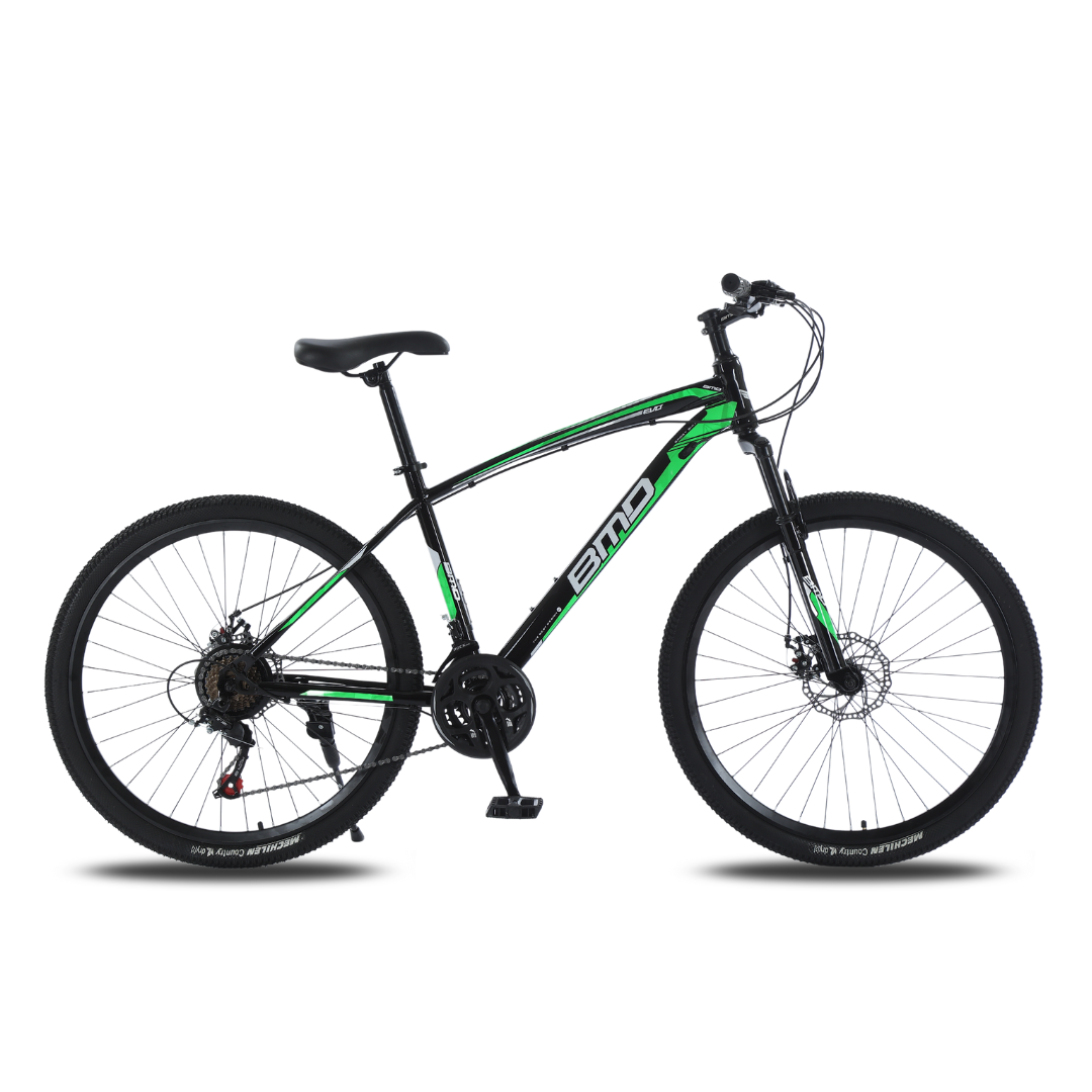 Bicicleta BMD Rodado 29