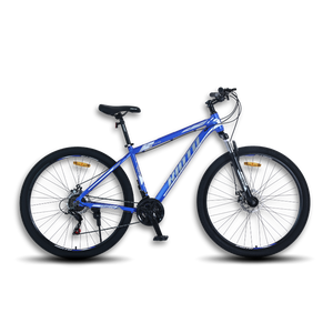 Kioto MTB R29 - 2023