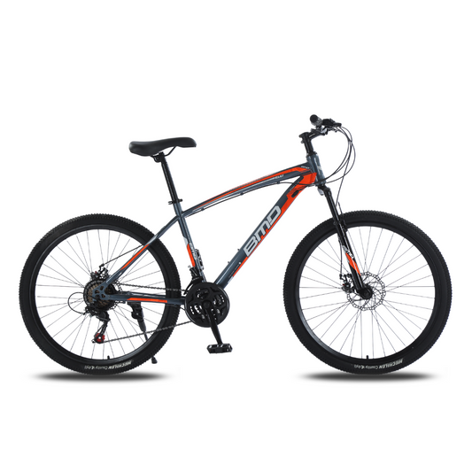 Bicicleta BMD Rodado 29